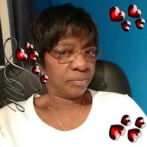 Meet your Posher, Stella